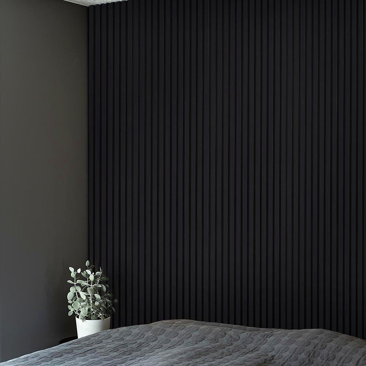 Black Oak | 240 MAGNAT DESIGNS